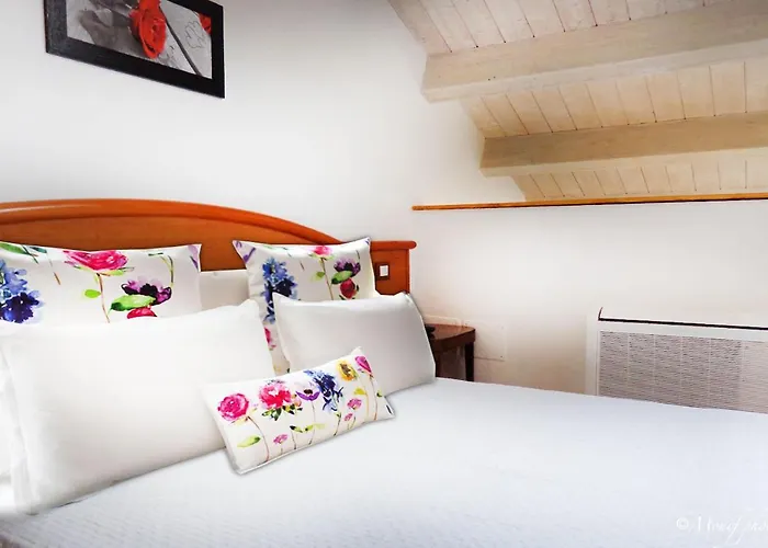 招待所 Alloggi Al Verdi