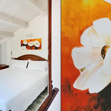 Guest house Alloggi Al Verdi 3*